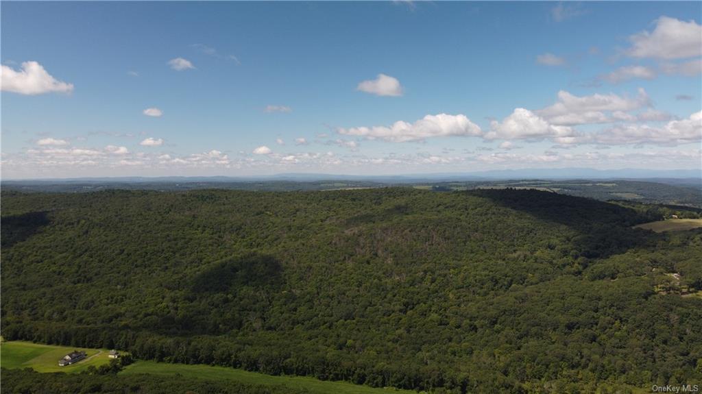 Cascade Mountain Road, Amenia, New York image 14