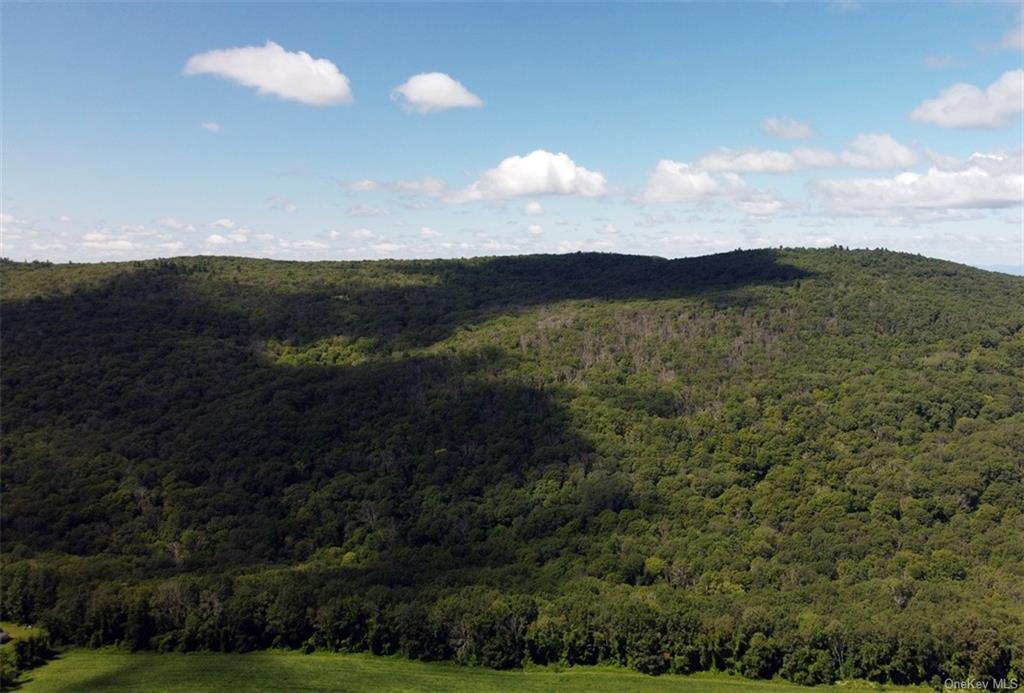 Cascade Mountain Road, Amenia, New York image 12