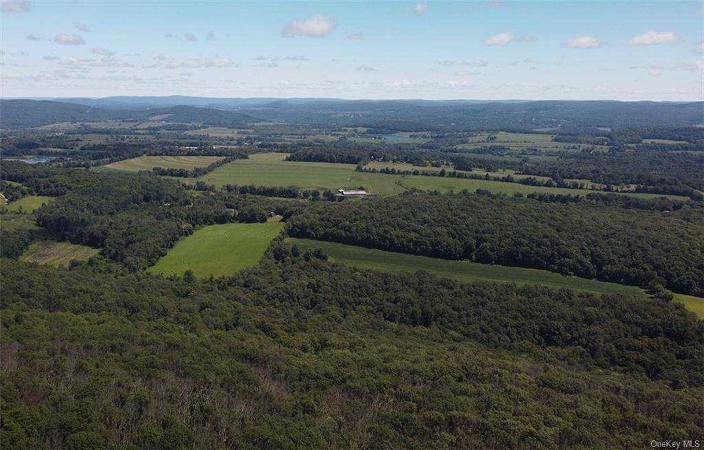 Cascade Mountain Road, Amenia, New York image 13