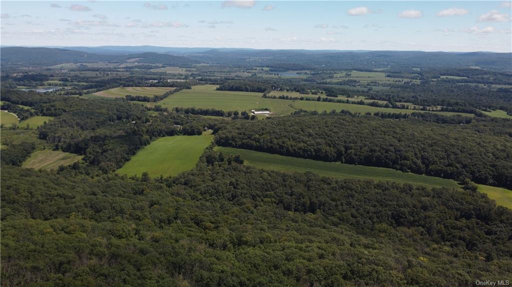 Cascade Mountain Road, Amenia, New York image 15