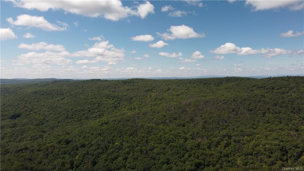 Cascade Mountain Road, Amenia, New York image 16