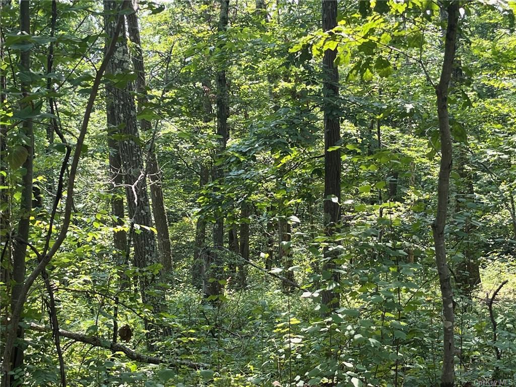 Cascade Mountain Road, Amenia, New York image 7