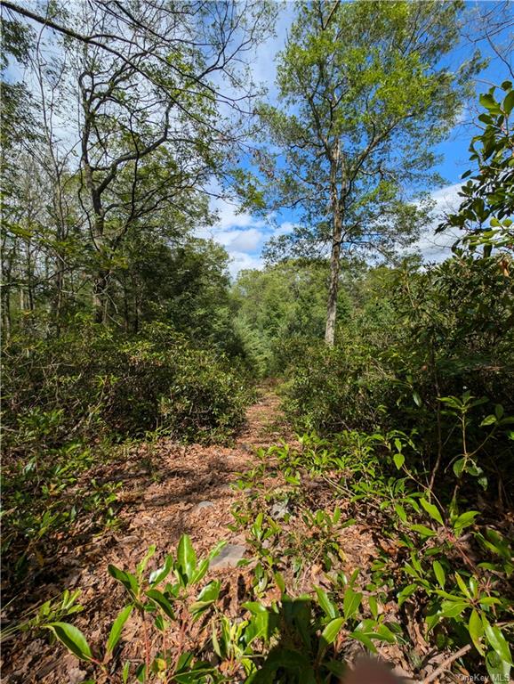 Mount Vernon Road, Wurtsboro, New York image 19