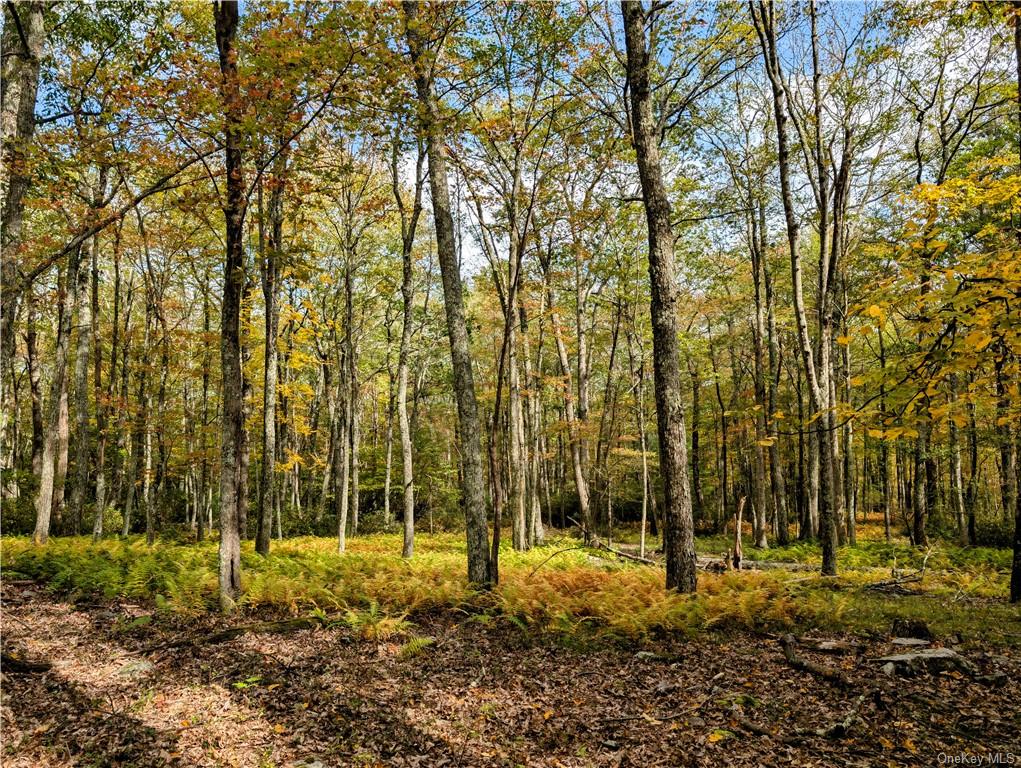 Mount Vernon Road, Wurtsboro, New York image 4