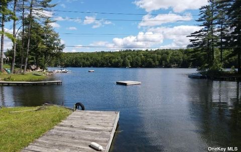 Unimproved Land in Other NY L12.4 Hadlock Pond Road.jpg