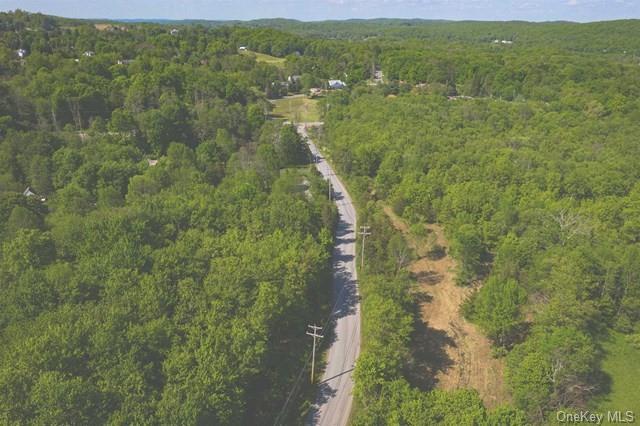 Rt 55 / Lauer Road, Lagrangeville, New York image 8