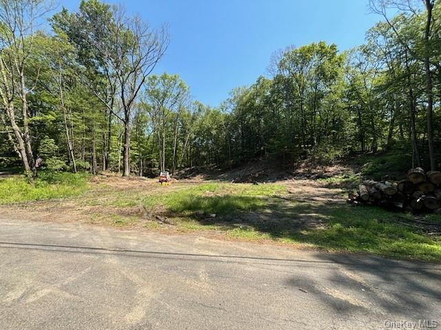 Stissing Mountain Road, Pine Plains, New York image 3