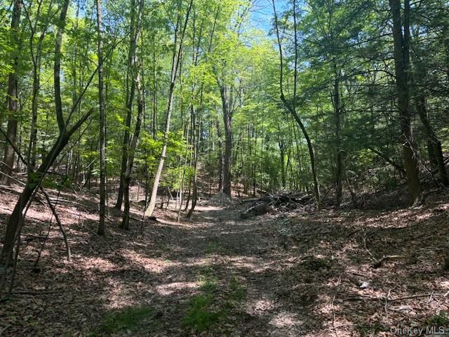 Stissing Mountain Road, Pine Plains, New York image 8