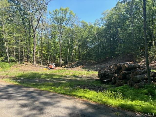 Stissing Mountain Road, Pine Plains, New York image 2