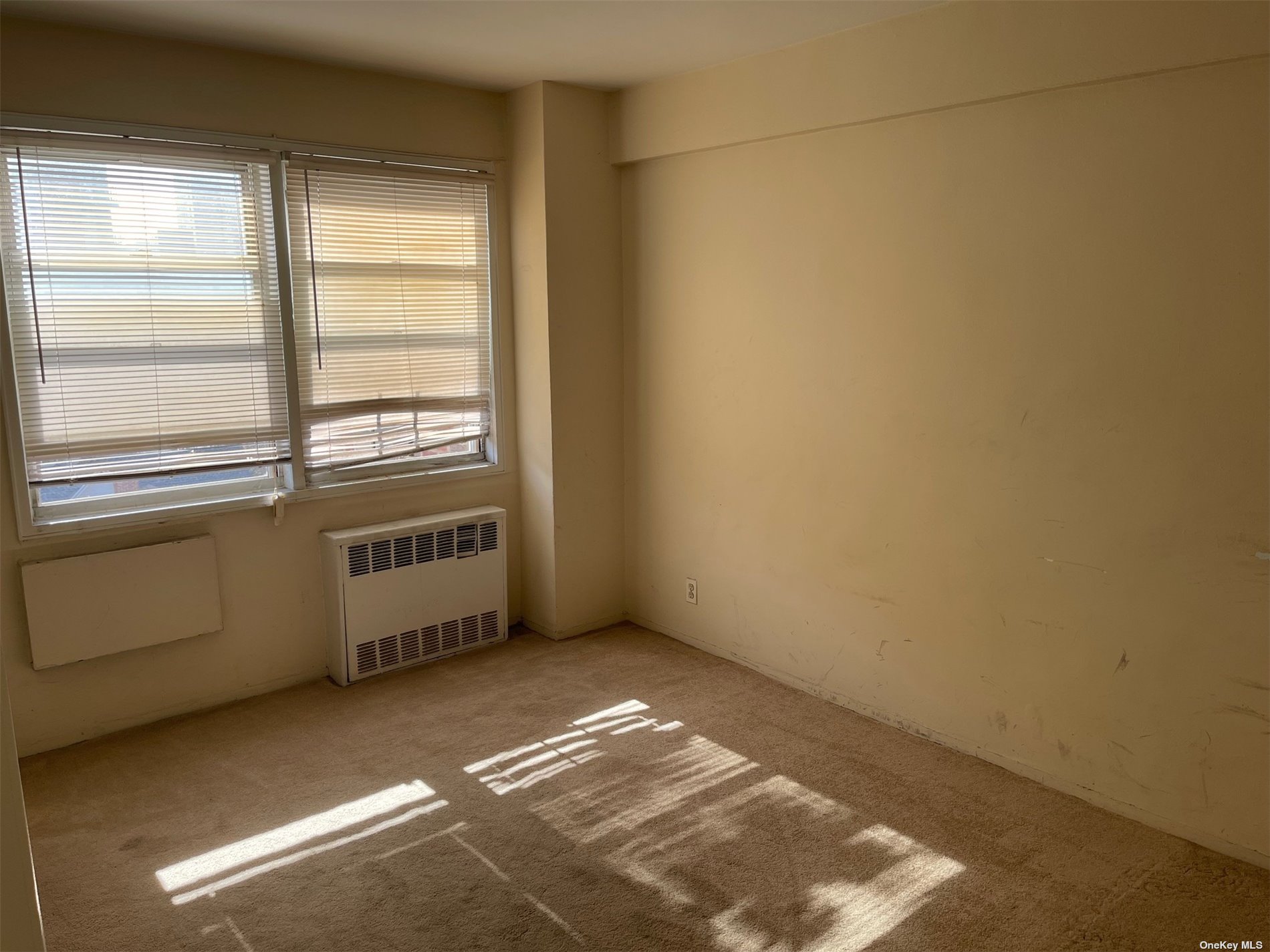 160-10 89th Avenue #7K, Jamaica, New York image 12