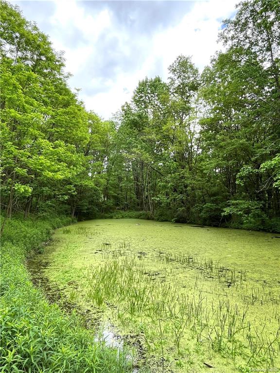 Dahlia Lot 1 Road, Livingston Manor, New York image 11