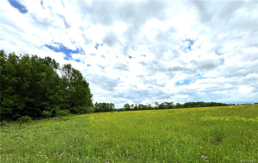 Dahlia Lot 1 Road, Livingston Manor, New York image 15