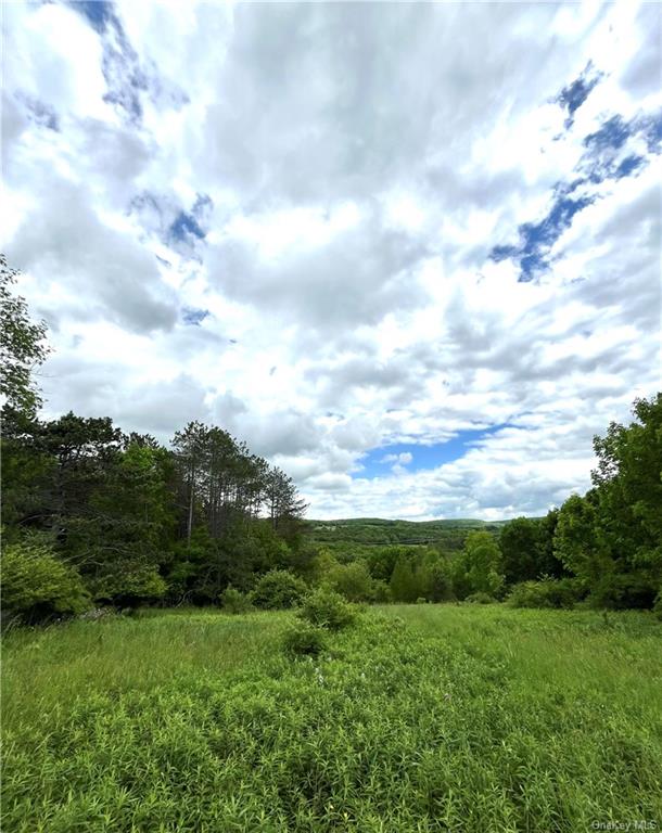 Dahlia Lot 1 Road, Livingston Manor, New York image 16