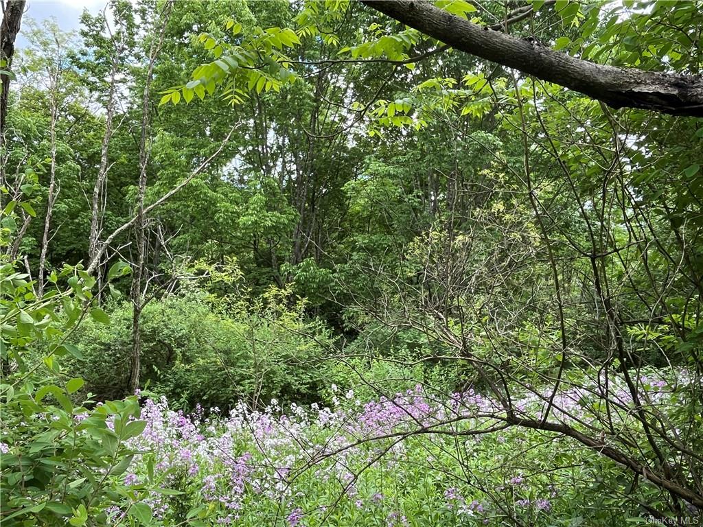 Dahlia Lot 1 Road, Livingston Manor, New York image 13