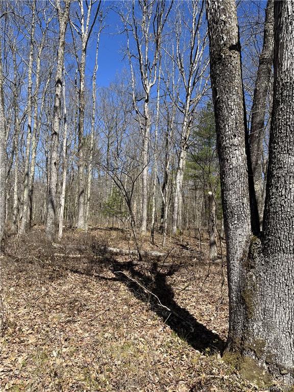 Country Lane, Callicoon, New York image 7