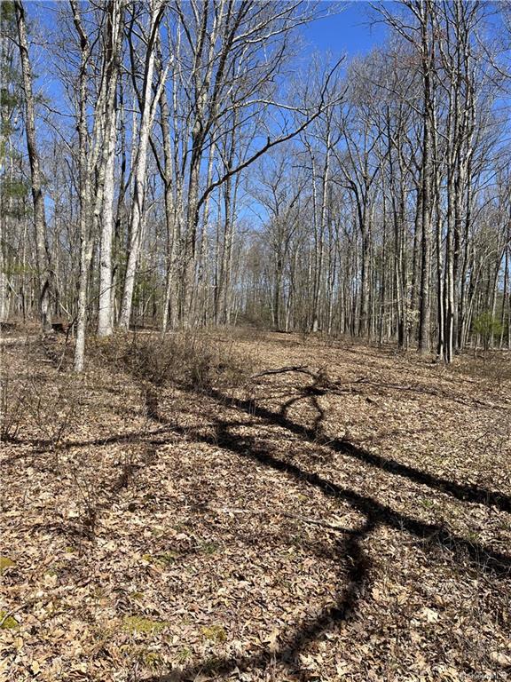 Country Lane, Callicoon, New York image 6