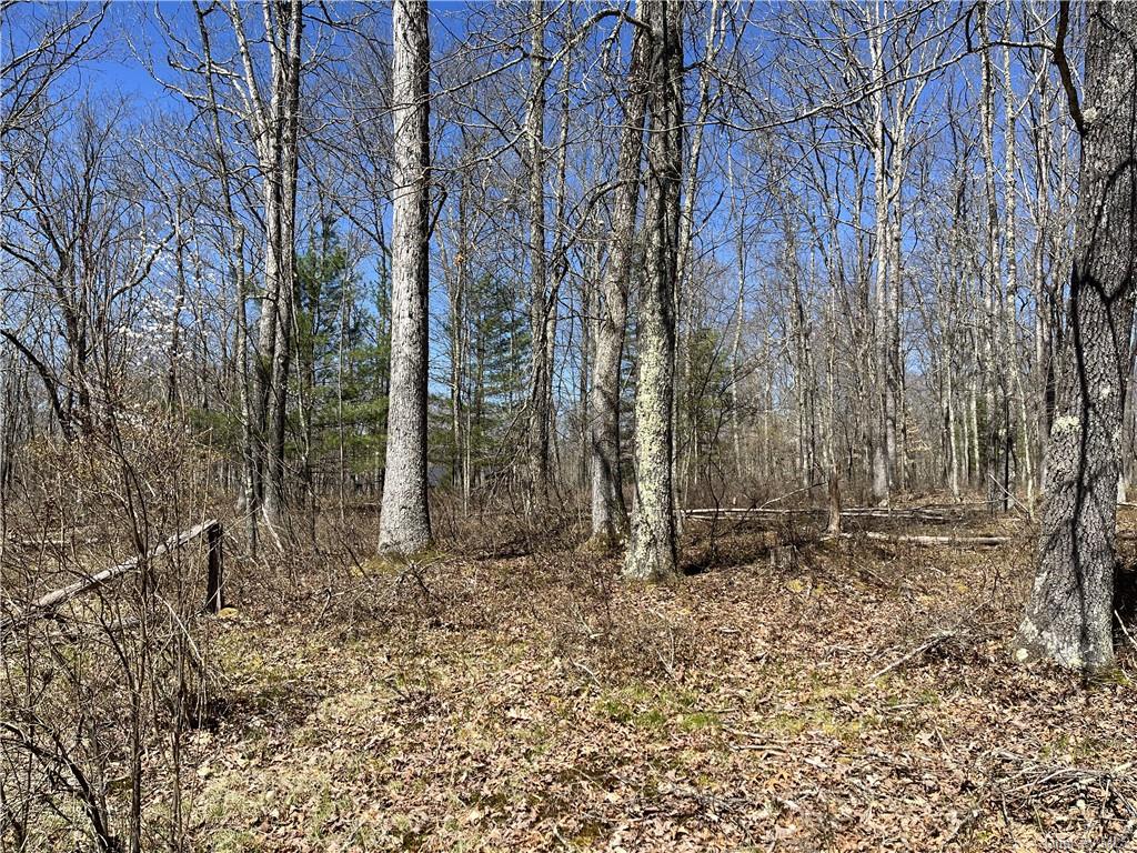 Country Lane, Callicoon, New York image 4