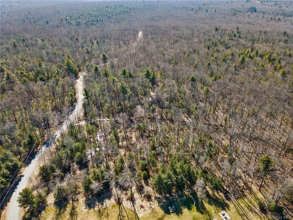 Pine Kill Road, Wurtsboro, New York image 8