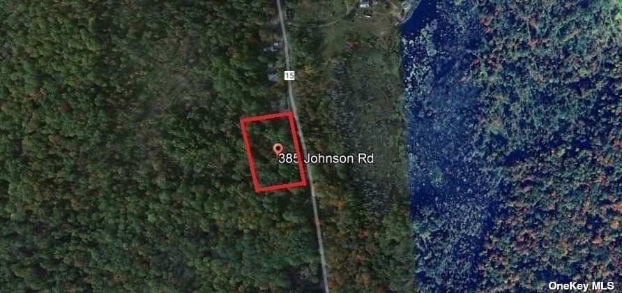 385 Johnson Road, Adirondack, New York image 33