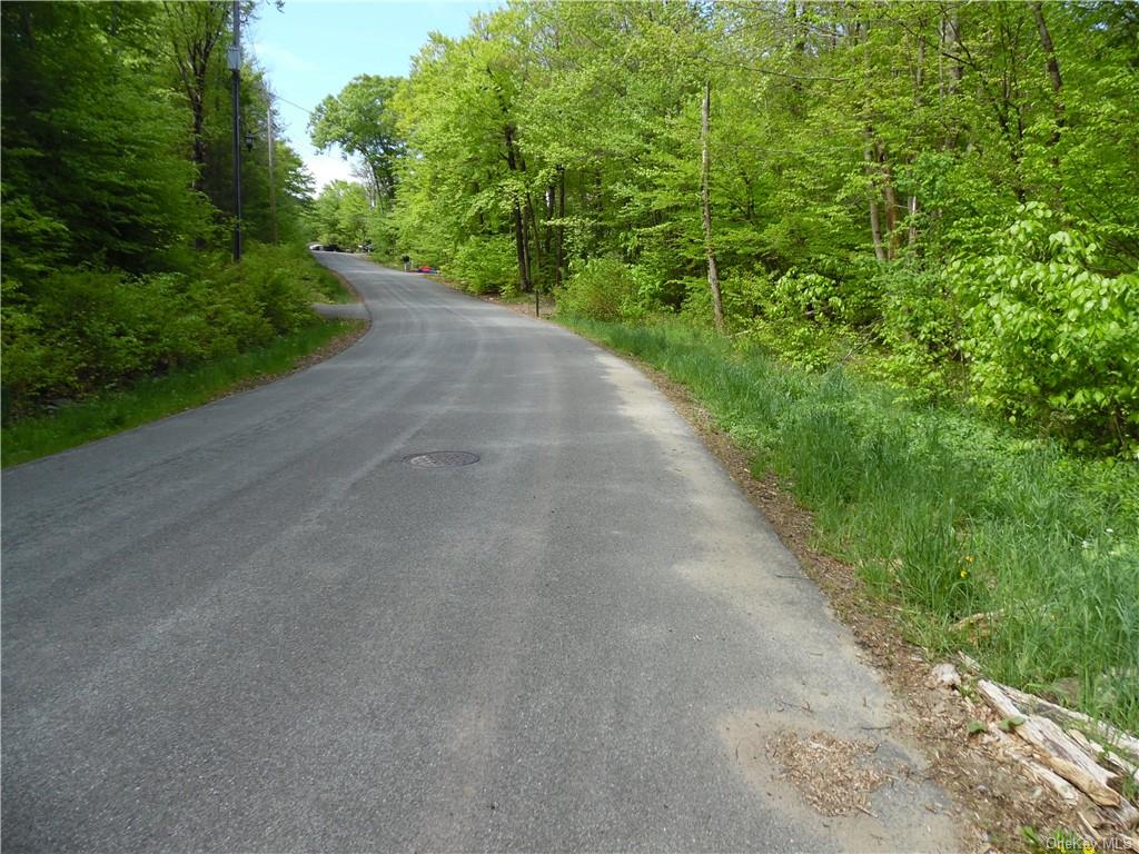 Winterthur Road, Fallsburg, New York image 3