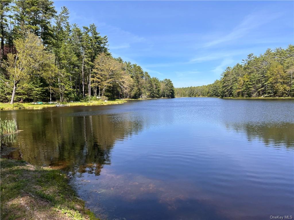 Stag Forest Road, Forestburgh, New York image 18