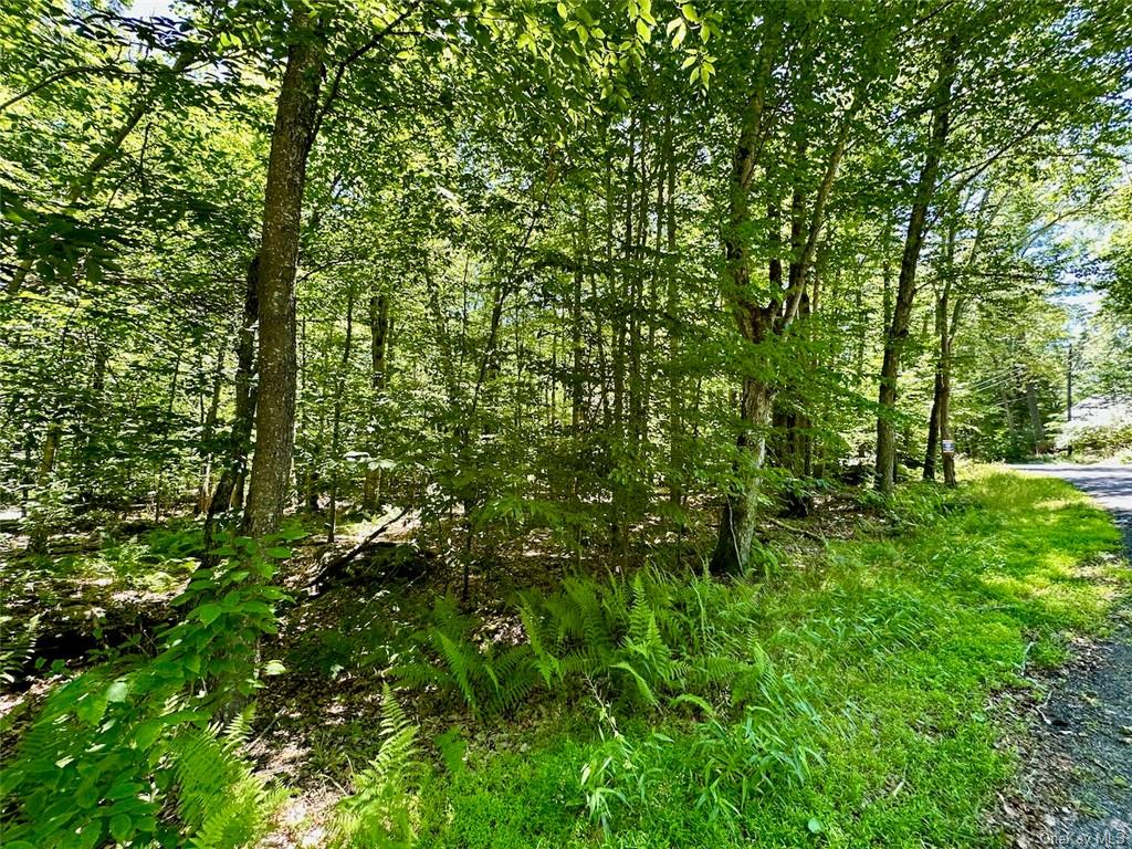 71 Swinging Bridge Estate Road, Monticello, New York image 9