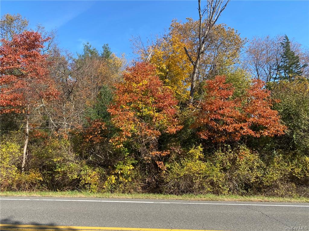 Beaver Rd (jackson Crs), Red Hook, New York image 2