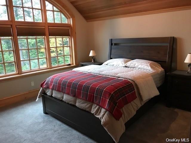 125 Copper Ridge Trail, Windham, New York image 27