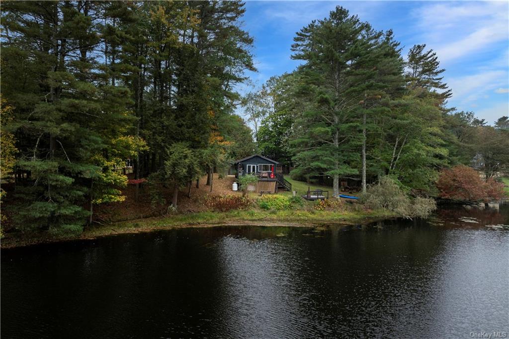 40 Beaver Brook Road, Call Listing Agent, New York image 1