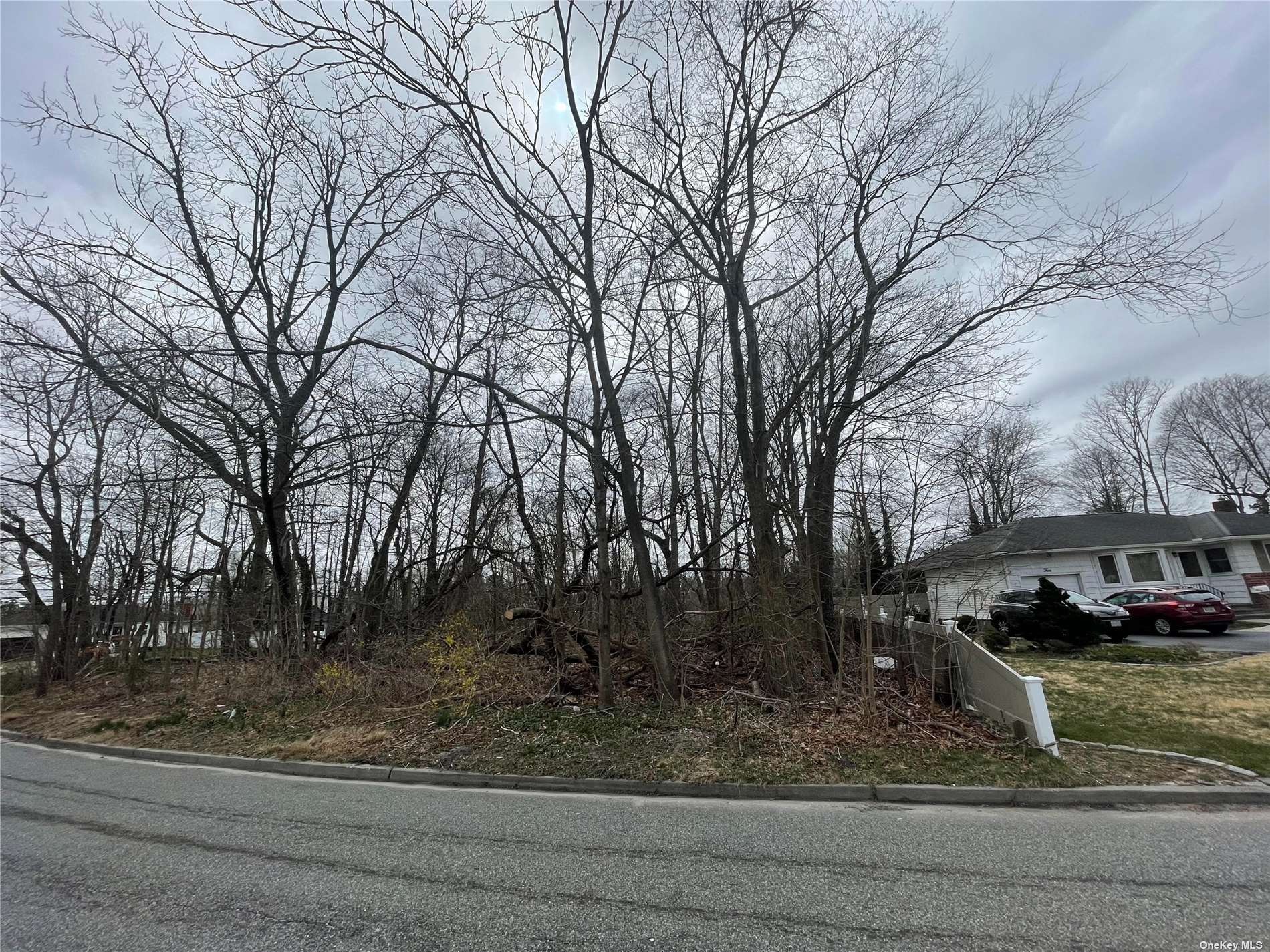 Route 111 Blvd, Smithtown, New York image 1