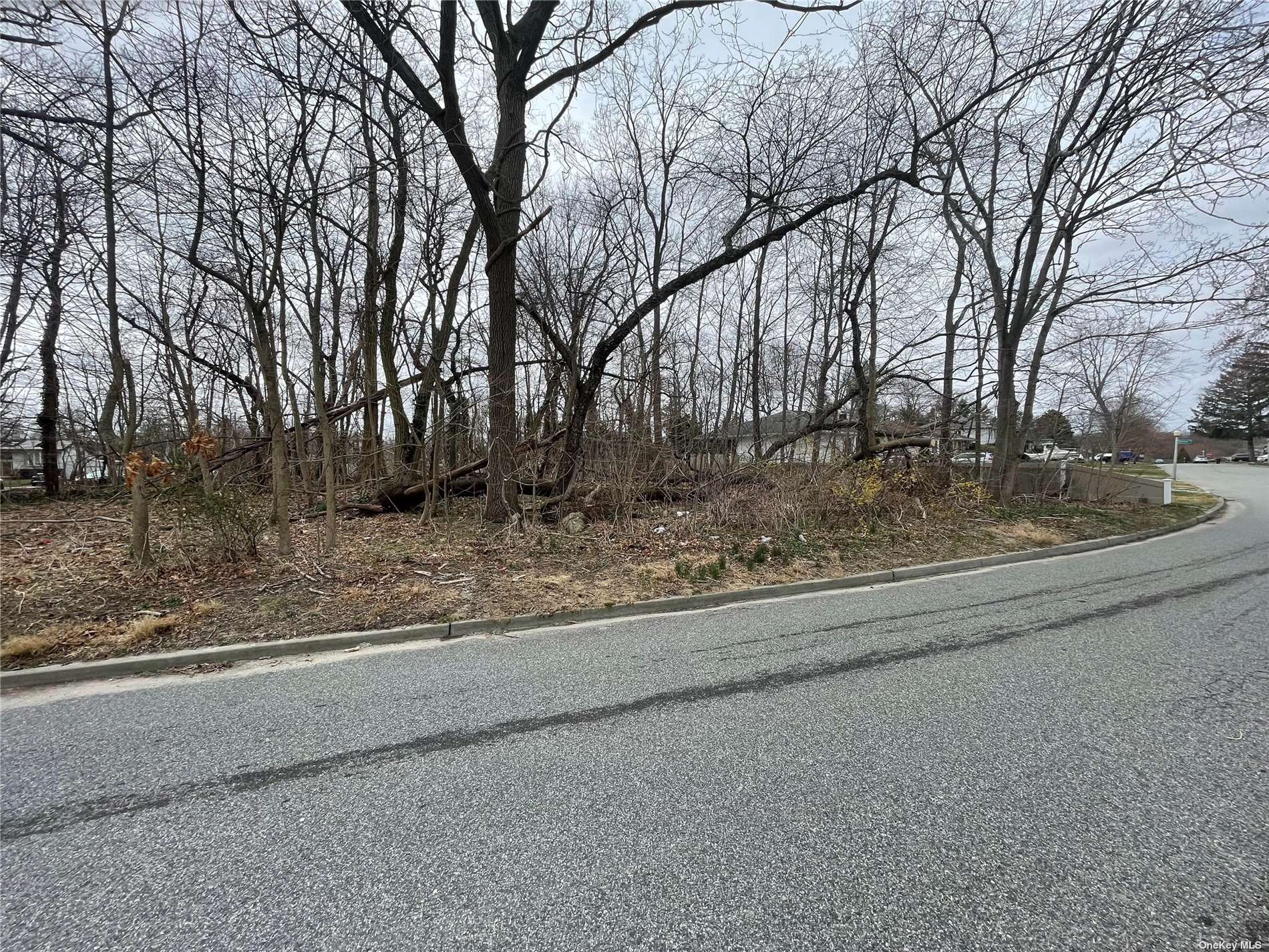 Route 111 Blvd, Smithtown, New York image 3