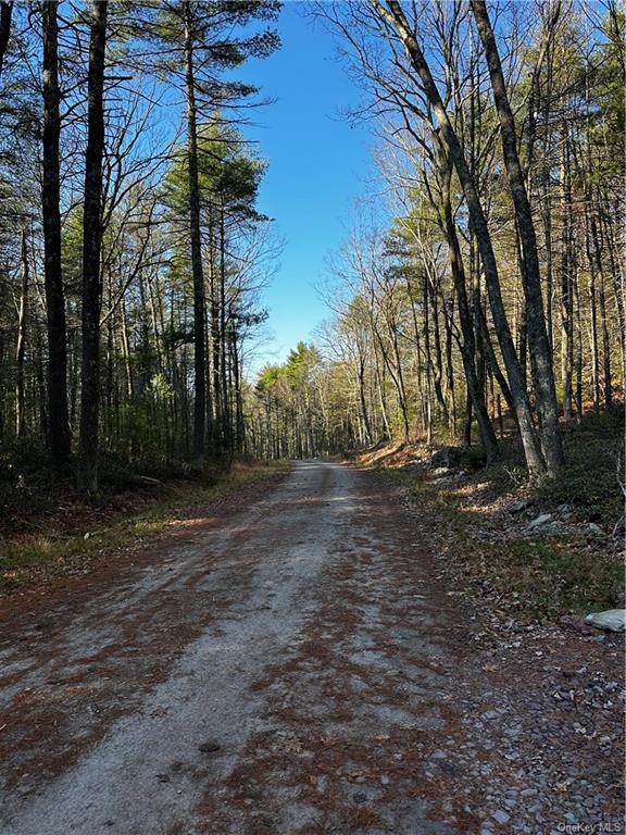 Hartwood Road, Forestburgh, New York image 9