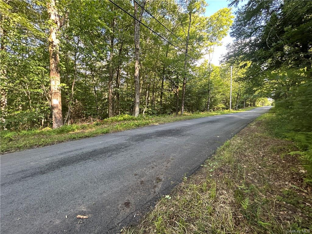 Conklin Drive, Parksville, New York image 8