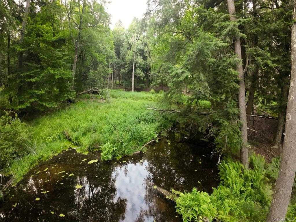 Crumley Van Vactor Road, Bethel, New York image 8