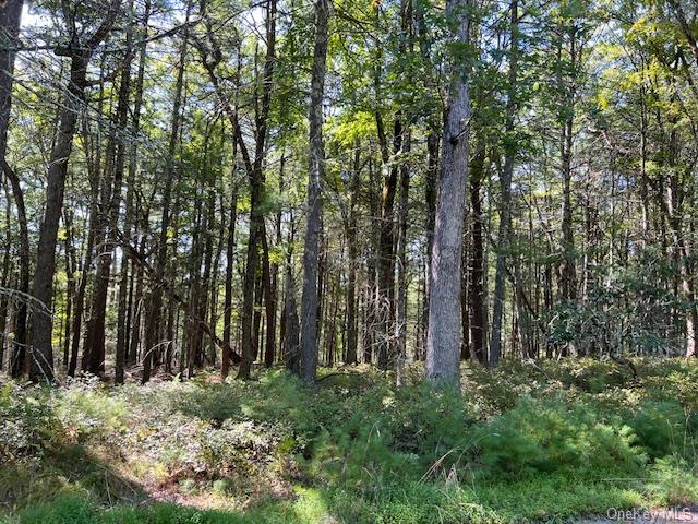 Lot 64 Haring Road, Glen Spey, New York image 4