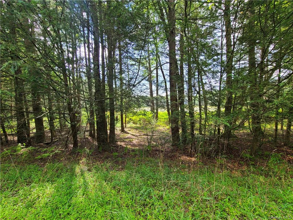 Lot 23 Deer Meadow Road, Bethel, New York image 27