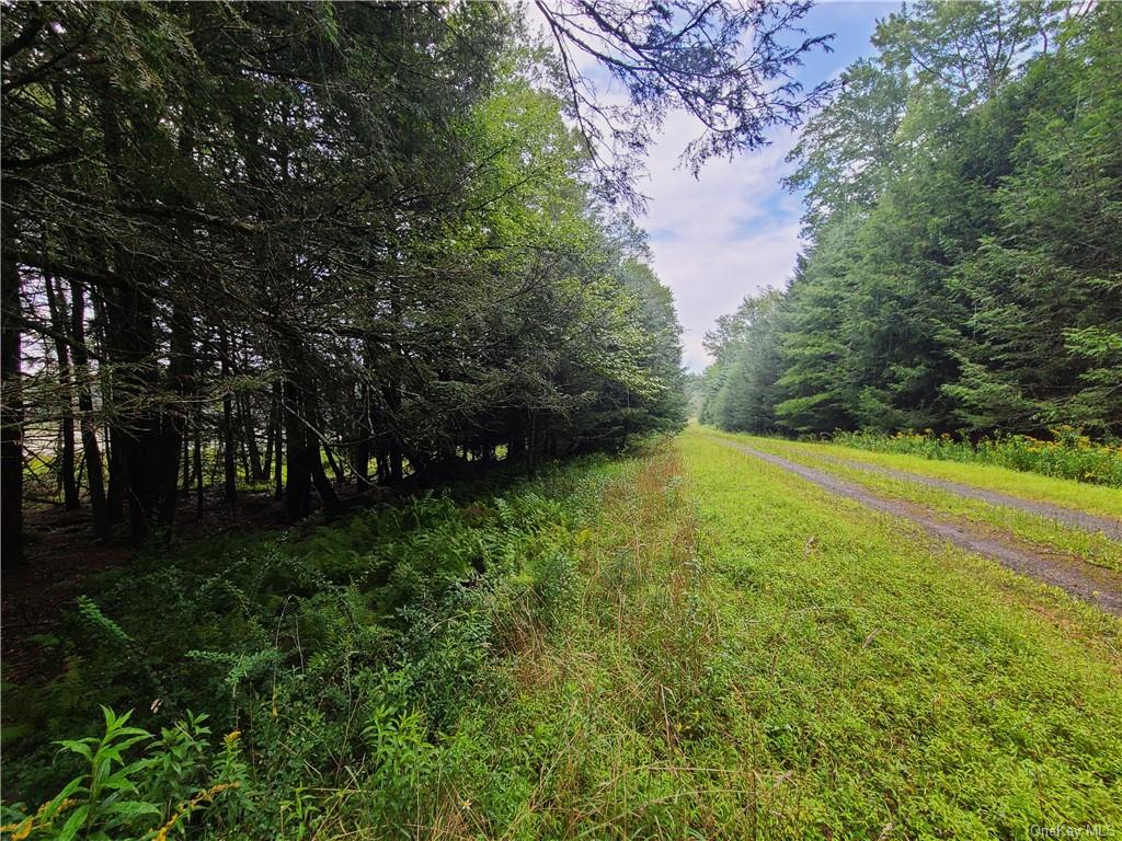 Lot 23 Deer Meadow Road, Bethel, New York image 20