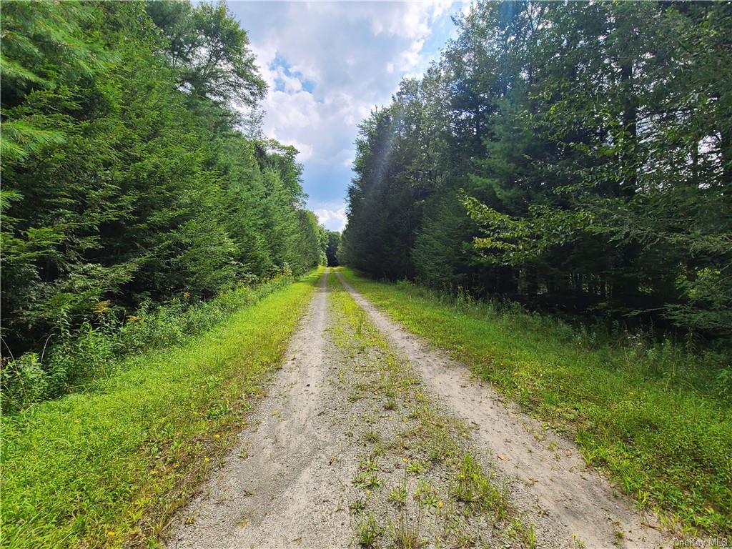 Lot 23 Deer Meadow Road, Bethel, New York image 8