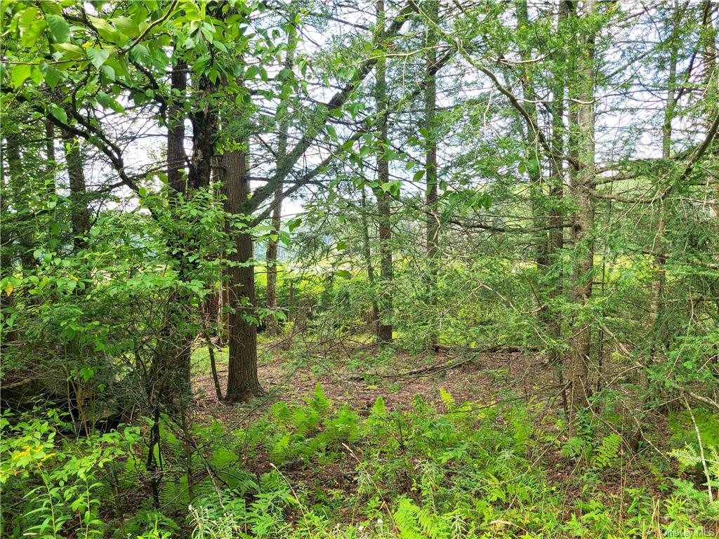 Lot 23 Deer Meadow Road, Bethel, New York image 18