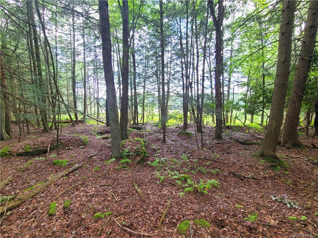 Lot 23 Deer Meadow Road, Bethel, New York image 6