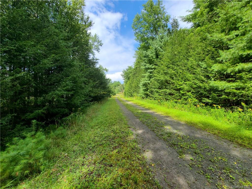 Lot 23 Deer Meadow Road, Bethel, New York image 28