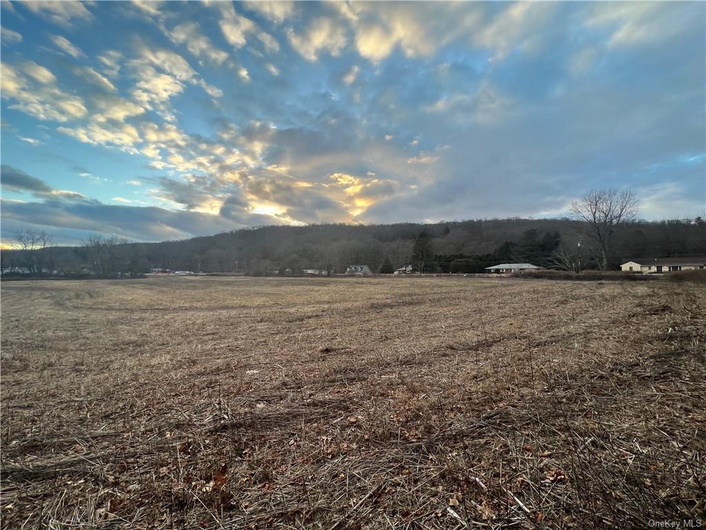 Lot 2 Route 22, Dover Plains, New York image 5