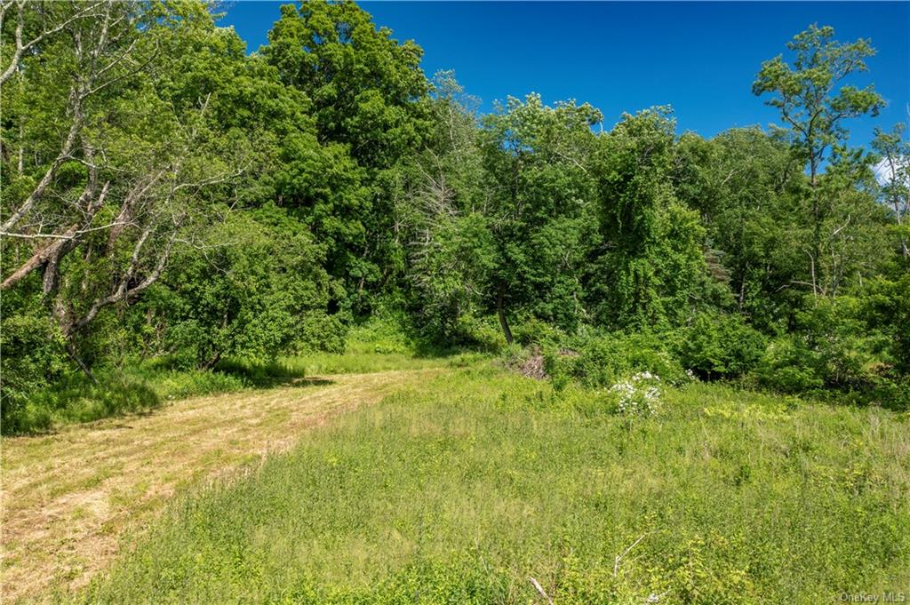 Old Quaker Hill Rear Road, Pawling, New York image 14