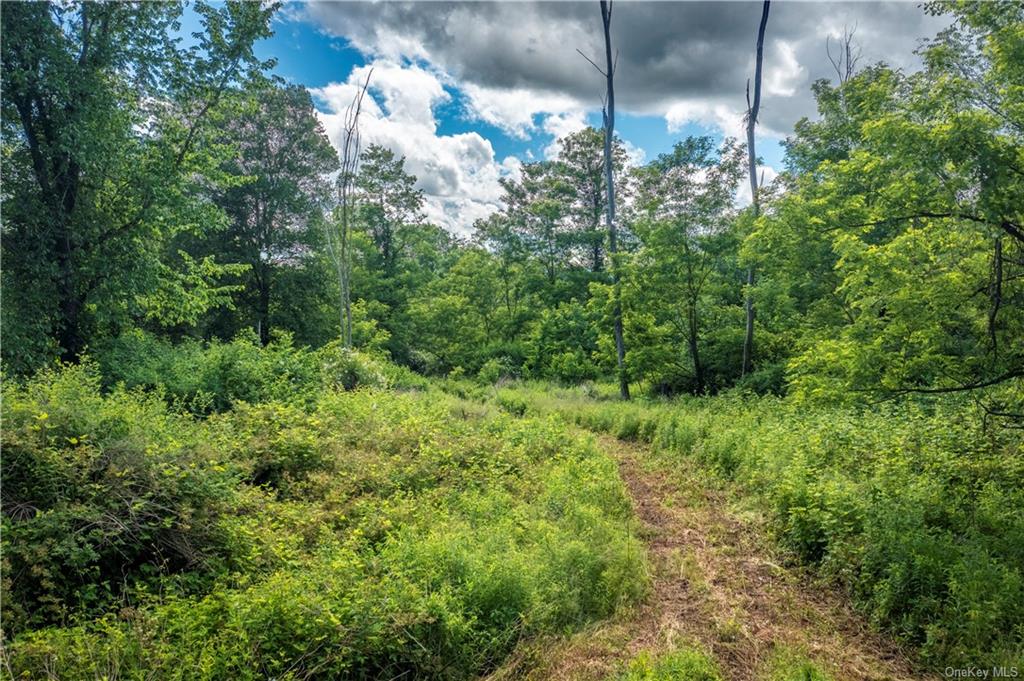 Old Quaker Hill Rear Road, Pawling, New York image 15