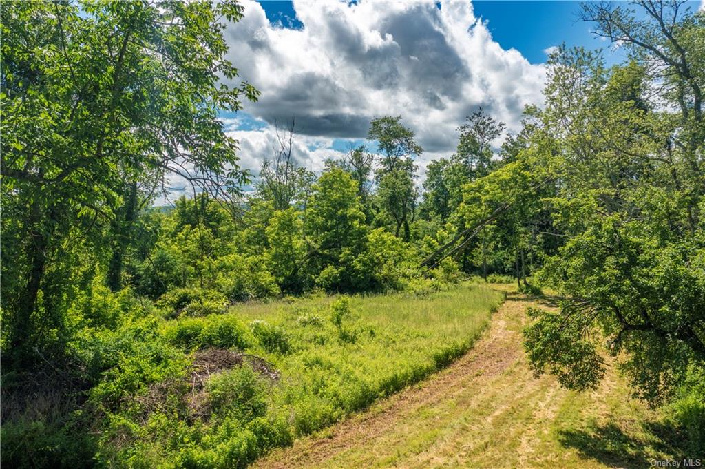 Old Quaker Hill Rear Road, Pawling, New York image 11