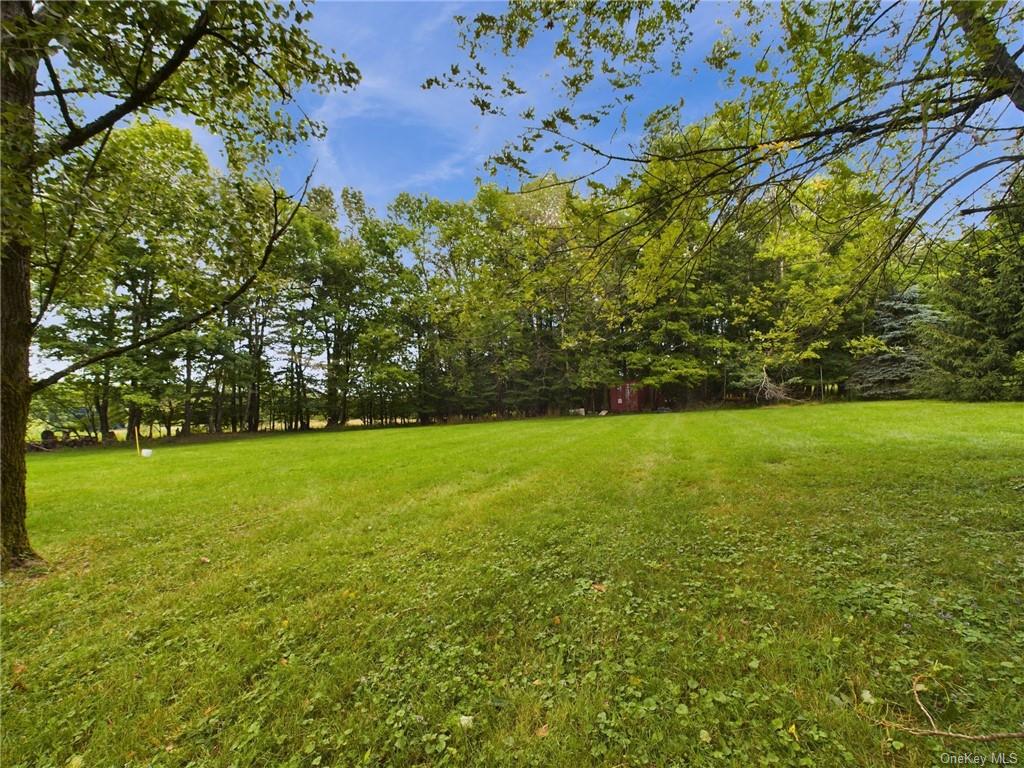 704 Cattail Road, Livingston Manor, New York image 34