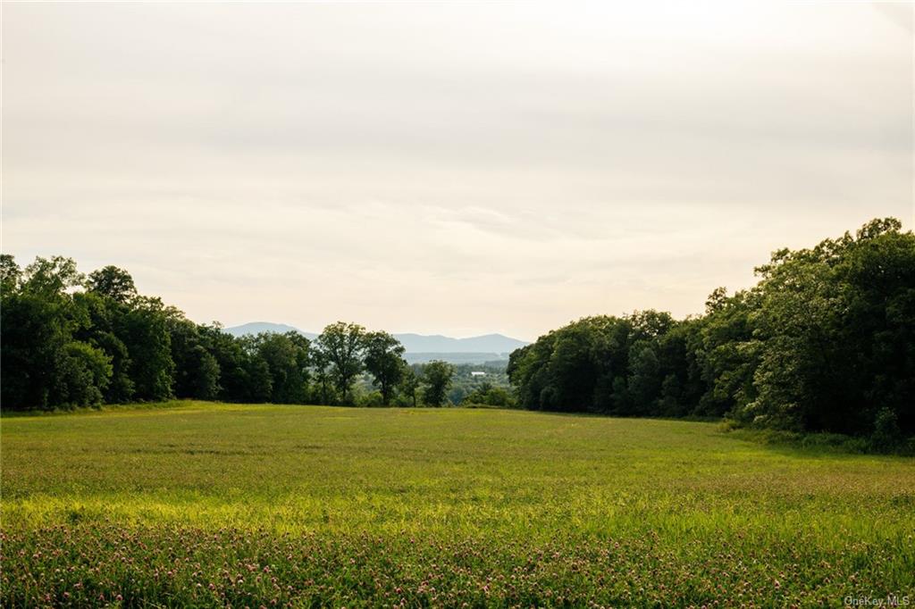 Rod And Gun Road, Hudson, New York image 20