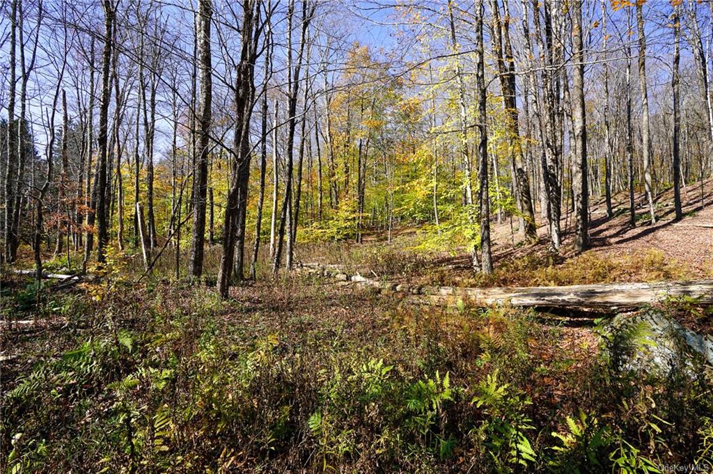 Amber Lake Road, Livingston Manor, New York image 8