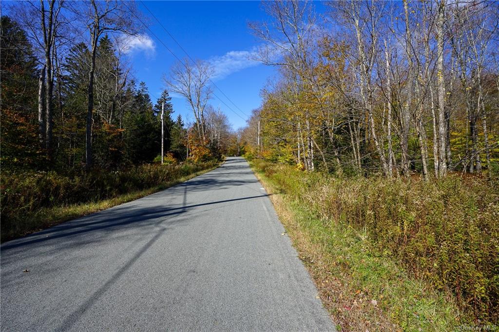 Amber Lake Road, Livingston Manor, New York image 18