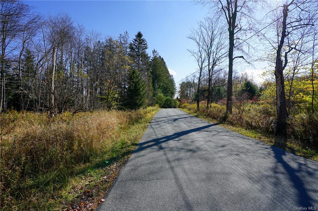 Amber Lake Road, Livingston Manor, New York image 19